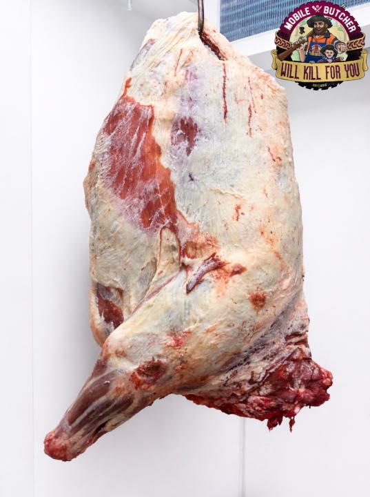 Forequarter
