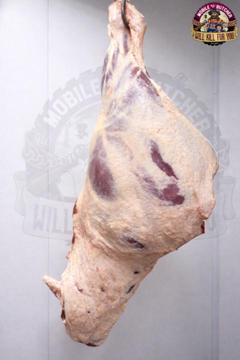 Hindquarter